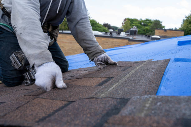 Best Storm Damage Roof Repair  in Cave City, KY